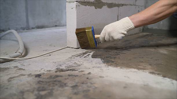 SJ Waterproofing Pros Waterproofing coverage map for Elmwood, TN and surrounding area